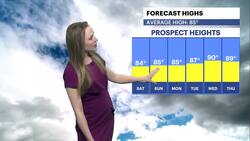 Warm and humid weekend, heat wave expected next week in Brooklyn Instructional Video