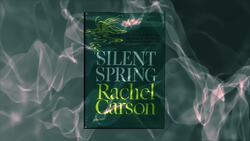 DDT Pollution: History, Consequences, and Ongoing Challenges Instructional Video