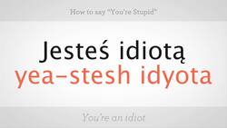 How to Order Beer in Polish Instructional Video