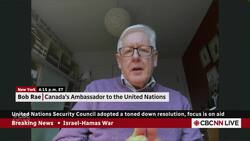 UN Security Council resolution on Gaza a good step but difficulties remain: Rae News Clip