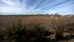 Milford firefighters rescue dog from marsh, hope to find its home News Clip