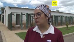 "Trap, Neuter, Vaccinate, and Return", Morocco’s strategy to save stray dogs News Clip