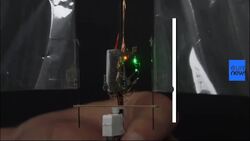 Wing-flapping drone mimics insect flight News Clip