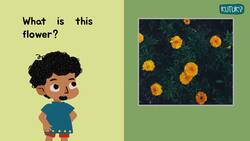 Blooming Beauties - A Look at Lovely Flowers Instructional Video