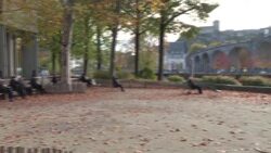 CLEAN : French Bishops pay tribute to victims of sexual assault News Clip