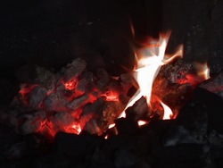 Explorando fósiles: fósiles en nuestras vidas Instructional Video