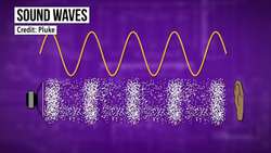 What Does Ultrasound Gel Do? Instructional Video