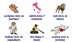 Third Declension Nouns in Latin Part 1: Imparisyllabic Nouns Instructional Video