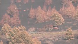 La Palma volcano continues wreaking havoc News Clip