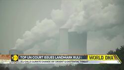 Climate Change a global emergency, says world court | World DNA News Clip
