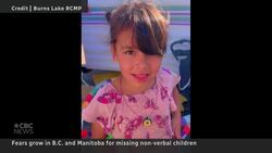 Searches continue for two missing non-verbal 6-year-olds News Clip