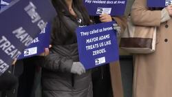 Harlem Hospital resident physicians rally for higher wages News Clip