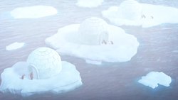 Architect’s floating igloos would protect penguins and cool sea ice Instructional Video