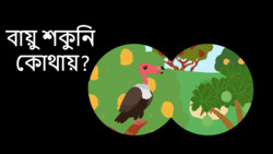 What vultures do? - Bengali Instructional Video