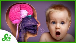 The Weird, Delightful Smells of Being Human Instructional Video