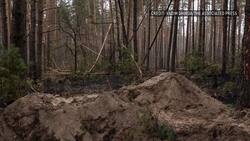 Ukraine president calls Bucha killings 'genocide' News Clip