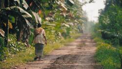 Indonesia's Palm Oil Industry: The Blame Game and Environmental Consequences Instructional Video