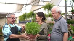 Family shop for plants with Salesman at Flower Market Stock Footage