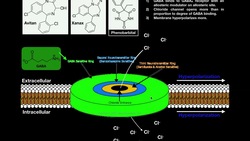The Mechanism of Benzodiazepines | The GABA Receptor and Allosteric Modulation Instructional Video