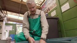 Dedicated Team Hand-Feeds Penguin Chicks Abandoned by Their Parents Instructional Video
