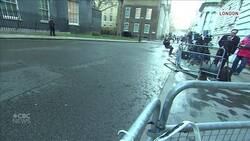 Pigeon's brazen escape from cat at 10 Downing Street News Clip