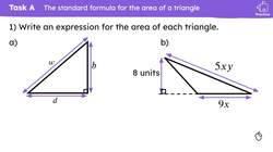 The area of any triangle Instructional Video