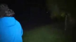 Neighborhood in St. Petersburg damaged during Hurricane Milton. News Clip