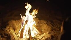 Burn fire with wood on beach camp Stock Footage