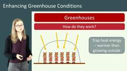 Enhancing Greenhouse Conditions for Increased Crop Yields Instructional Video