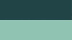 Why Won't the US Study Gun Deaths? Instructional Video