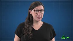 How Scientists Are Using Diaper Technology to Study Brains Instructional Video