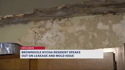 Tenant says mold and leakage issues in Howard Houses causing health concerns News Clip
