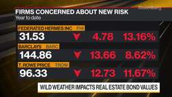 Asset Managers Updating Bond Models to Capture New Risk News Clip