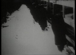 Liberation of Auschwitz Documentary - Part 3 of 11 Stock Footage