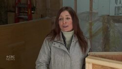 Meet Seamus, a service donkey in training News Clip