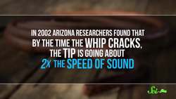 Quiz Show: SciShow Host Showdown Instructional Video