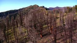 Climate Change and Invasive Species Instructional Video