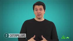 4 Animals That Don’t Have Resident Gut Microbiomes Instructional Video