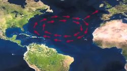 Turtle GPS - Science Nation Instructional Video