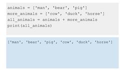 Python 3 for Beginners: Python List Manipulation and Functions Instructional Video