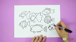 Arts and Crafts: How to Draw Different Types of Fish Instructional Video