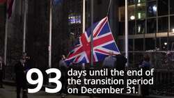 Brexit briefing: 93 days until the end of the transition period News Clip