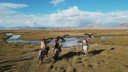 Mongolia's Majesty: Drone Views of the Mongolian-Manchurian Steppe Instructional Video
