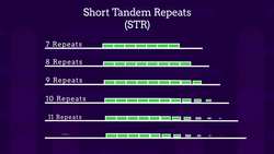 DNA Fingerprinting Instructional Video
