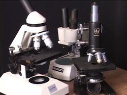 Microscopic Life: Introduction Instructional Video