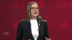 Gould says some Liberal leadership rivals are adopting Conservative ideas News Clip