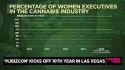 Looking at Diversity Problems in the Cannabis Industry From MJBizCon News Clip