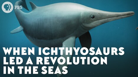 When Ichthyosaurs Led a Revolution in the Seas