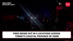 Monster Blaze Wreaks Havoc In Turkey; Apocalyptic Scenes From Wildfires Caught On Cam | Watch News Clip