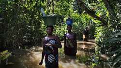 TED: Why I risked my life to expose a government massacre | Anjan Sundaram Instructional Video